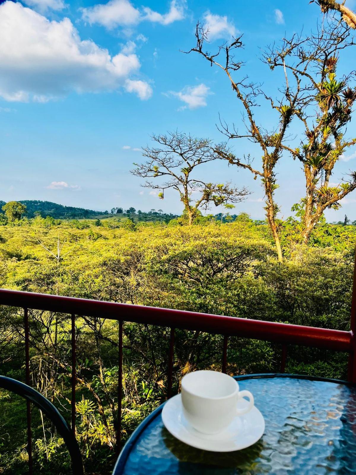 Garza Del Sol Glamping Rio Celeste Buganvilia Extérieur photo
