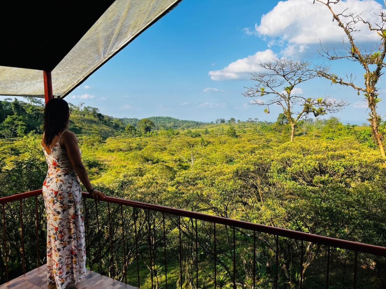Garza Del Sol Glamping Rio Celeste Buganvilia Extérieur photo